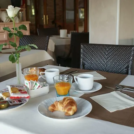 酒店 米凯拉酒店 3*